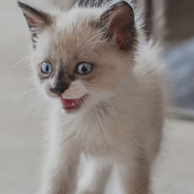 Dylan________2's profile picture. 24 and ready to party birches
He/They