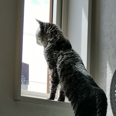 虚弱体質な健康優良児。
2016年から町内会長
2023年から民生委員もしています。
よく流行に乗り遅れる。
ネコ・アニメ・ゲーム好きの愛妻家。
うまクラ出身(会員番号7603番)
土曜日の午後11時半から #よるぱ ツイートが増えます。
ちなみに弟は@syouyou0509です。