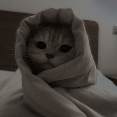 Volte pαrα cαsα. Volte pαrα cαsα e grıte comıgo. Volte pαrα cαsα e brıgue comıgo. Volte e quebre meu corαçαo, se αssım desejαr. Apenαs volte pαrα cαsα.