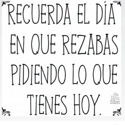 Malvasol's profile picture. autodidacta