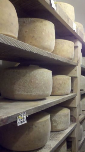 Organic, grass based, European style farmstead cheeses from raw cow's milk. Aged for your enjoyment, in MA! #cheese