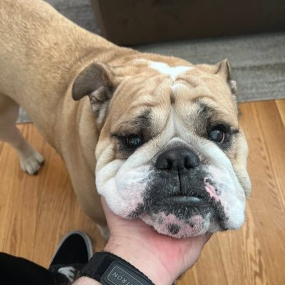 Beluga__ow's profile picture. unc