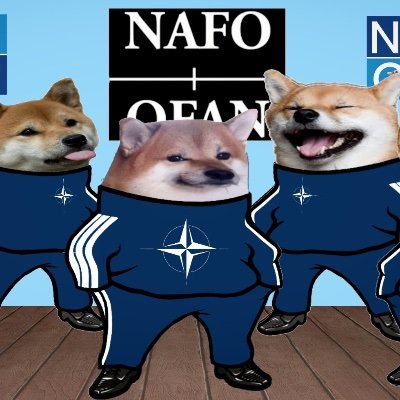 heliobrandao's profile picture. We are NAFO!