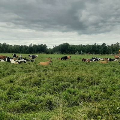 Dairy farmerette, #agvocate, mother and wife farming organically at Jamink Farm