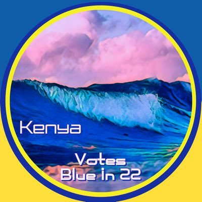 Vote blue 2024 ~ Women, LGBTQ and BIPOC Rights ~ BLM ~ Therapist ~ Welcome 🐋 #DemCast #ONEV1Z30 #DemVoice1