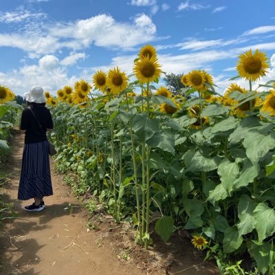 綺麗な空が好き✨幻想的な空も大好き✨昔の洋楽をよく聴いてます♫ 最近は花々にも癒されてます❀.*･ﾟ たまに読書と浦和レッズ✨1971年生まれ( ¨̮ )✨