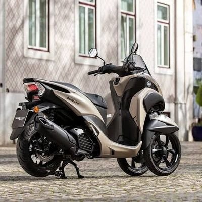 YAMAHAトリシティ専用 NEO FASステップ 125/155 - www.ecotours-of