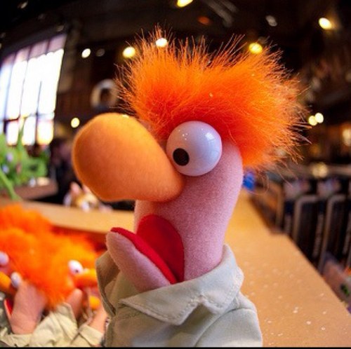 deltableh's profile picture. Ambitious but rubbish.