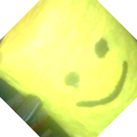 NoConX1's profile picture. 