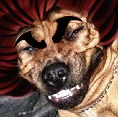 tdhonor53's profile picture. 