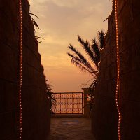 ヤス (@rwt7qkp1czbaigi) Twitter profile photo