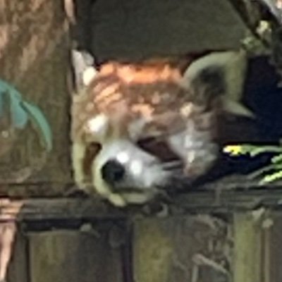 JessicaYiu5's profile picture. 