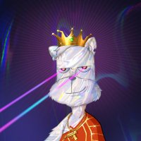 Nubia (@nubia62955601) 's Twitter Profile