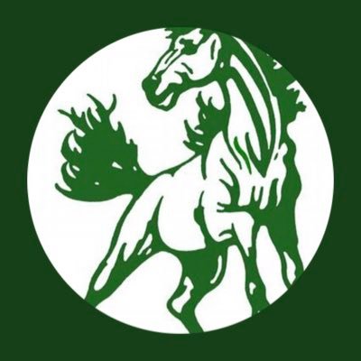 Holly Pond Boys Basketball Information and Updates
