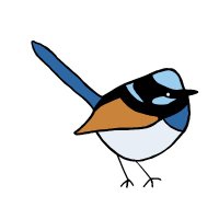 Weekend Birder(@birderpod) 's Twitter Profile Photo