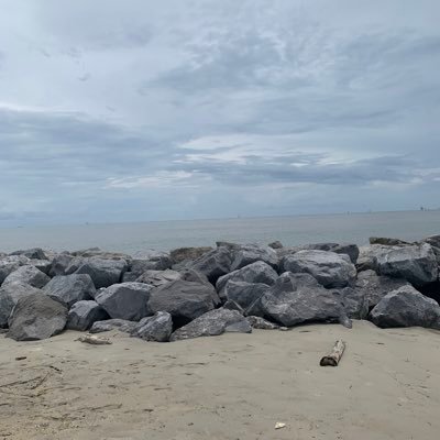 Anon24179086's profile picture. Bruh