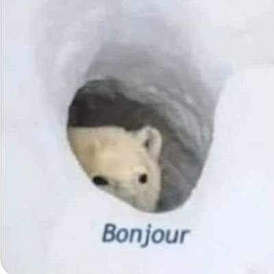 PRXDO1902's profile picture. 