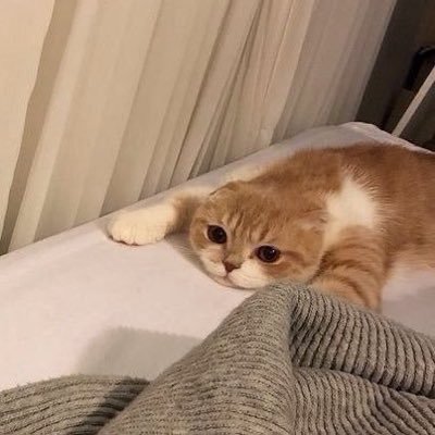 sin76a's profile picture. 