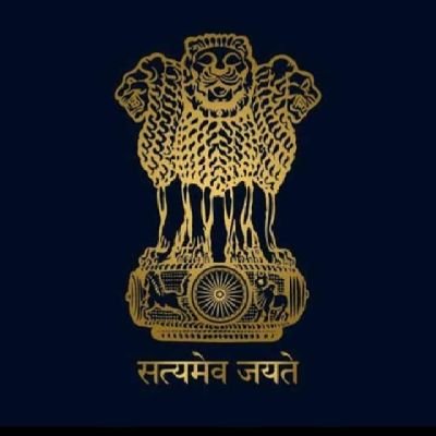 alimmansuri3611's profile picture. business india