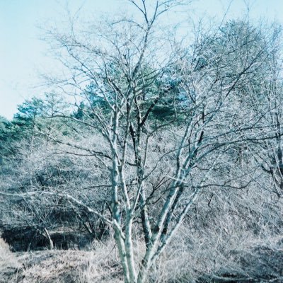 kousakasakaa's profile picture. ■スレッズにもいます https://t.co/Vn3lRhkIa6 /