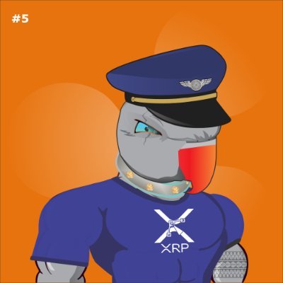 VETTED XRP & ALL CRYPTO NEWS

NFT PROJECT BASED ON XRPL