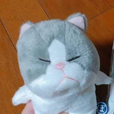 家庭連合現役2世🕊️ 28歳女性です。
2世というだけで聞く耳をもってもらえないと思い2世であることを隠してツイートしてきましたが、今現役がもっと声を上げるべきだと思い2世として発信することを決めました‼️
2世として日々感じること、社会情勢について思うことなど呟きます💬