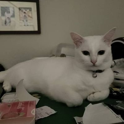 sssssjy3's profile picture. 