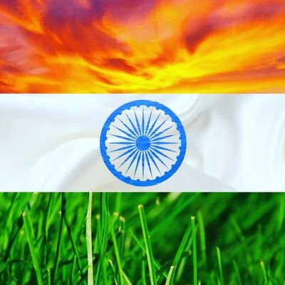 ani2643's profile picture. 