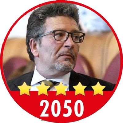 cittadino attivo a 5 stelle Roma.
Ex Portavoce M5S Roma Capitale e
Presidente Commissione Urbanistica