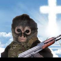 graham18 π (@graham1852) 's Twitter Profile