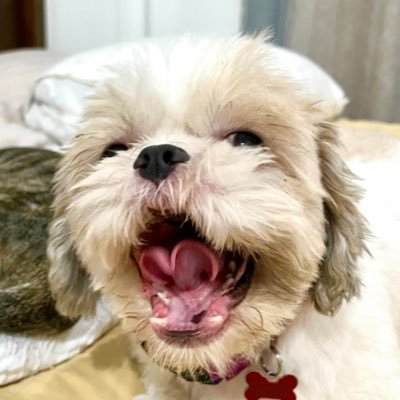 cara_mina01's profile picture. Isa sa mga tumindig na 15M. Cheerleader ng Pilipinas. Advocate of constant self-improvement and mini-breaks. Keeping the faith.