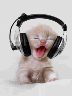 Andre28_28's profile picture. 