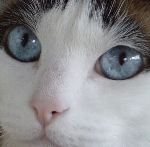 DavidLopCas's profile picture. 