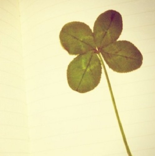 bot47502489's profile picture. 