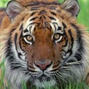 Robert Kinberger - @rhkinberger - Twitter