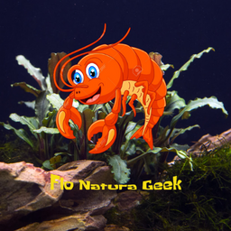 animateur et streamer sur https://t.co/EY9JRgy0Ep et https://t.co/yuq6QSqZ0u !
Fan de jeux vidéos et d'animaux en tous genre !