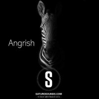 Angrish(@AngrishMusic) 's Twitter Profileg