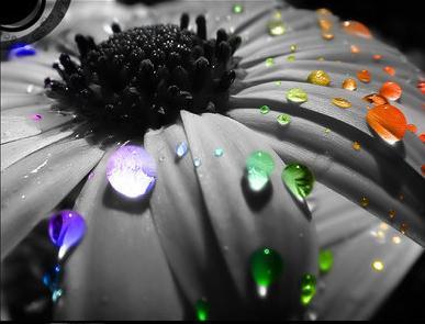 Louise_Fabio's profile picture. 