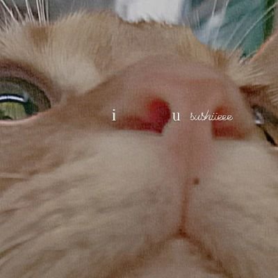 GloryMeMimi1's profile picture. 