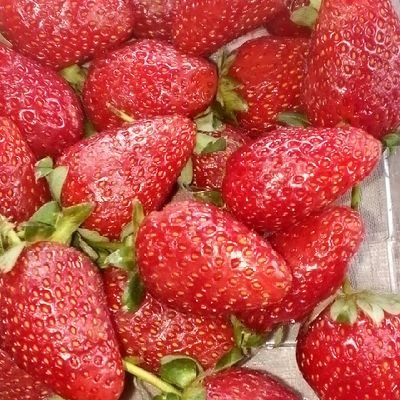 AbdulqodryZayn1's profile picture. practicing Muslim.
hijabi.
student.