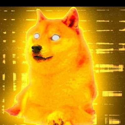 Doge93604331