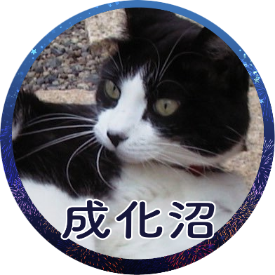 🪷成化十四年🪷に出会って世界が桃色に📚原作繁体字版本編読了番外編へGO/🇨🇳tgcf1期,cql,⛰,琅琊榜✨/🇹🇼WBL,無神之地不下雨✨/🇰🇷怪物/やっぱり猫が好き/昭和生まれ🇯🇵/雑多呟き/無言ﾌｫﾛｰ失礼します🙇🏻‍♀️