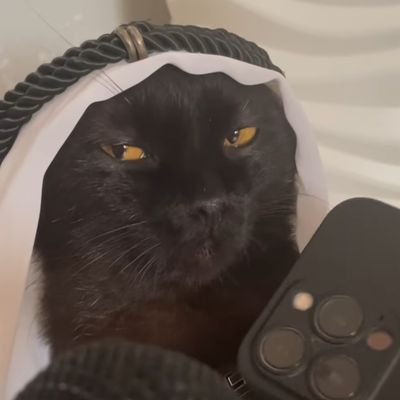 MohamedSobeha's profile picture. 