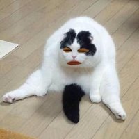 y_y (@iamfluffyui) 's Twitter Profile Photo y_y (@iamfluffyui) 's Twitter Profile Photo