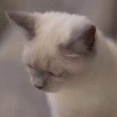 小时不识盐さんのプロフィール画像