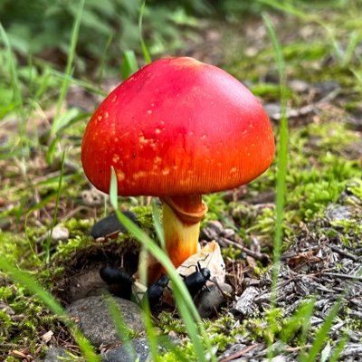 FH4sLC8cm06c3Qv's profile picture. 他の方のポストを見るためのアカウント