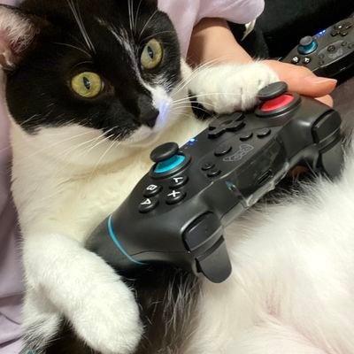 オオキド博士