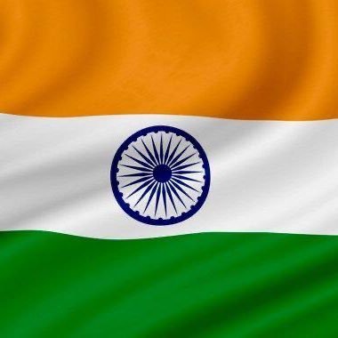 indiannotindian's profile picture. 