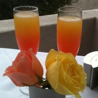 SilleeinSD's profile picture. 