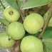Alimento Aggro (@aggroalimento) Twitter profile photo Alimento Aggro (@aggroalimento) Twitter profile photo